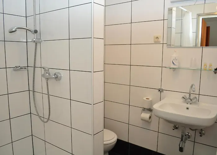 Hotel En Grand Café De Pauw 2*